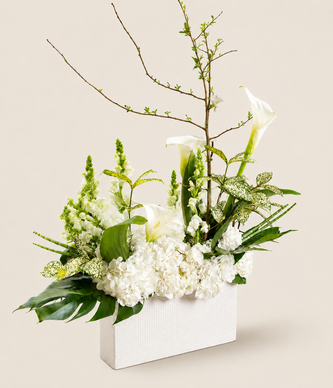 Calla Reverie