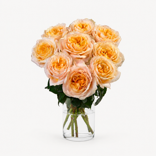 Amber Maxi™ Luxury Roses