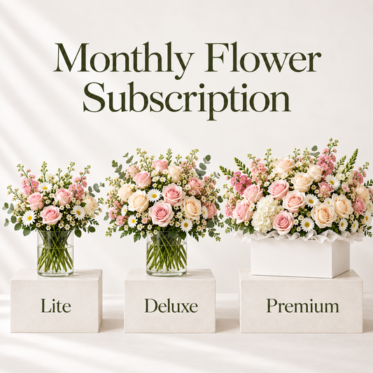 The Bloom Club - Curated Designs